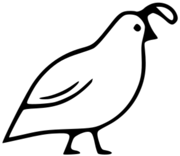 习书阁