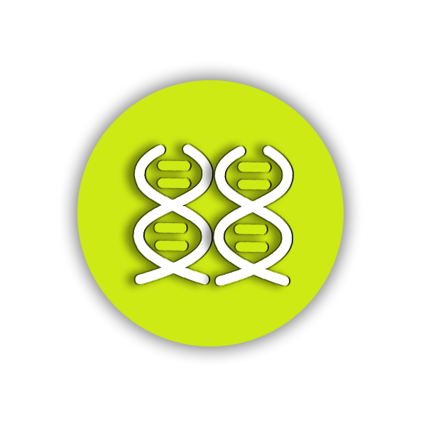 生物技术开发,预包装食品零售批发