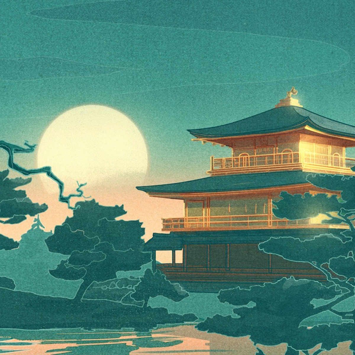 杂七杂八的付费都在这里了！