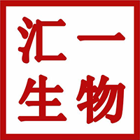 武汉汇一
