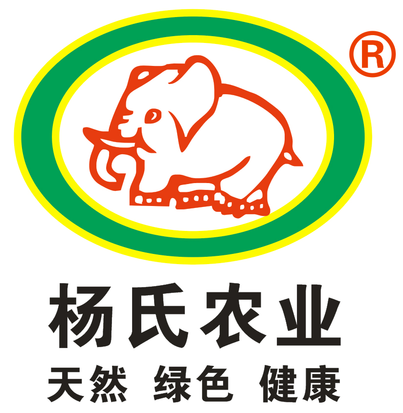 陕西绿心猕猴桃价格