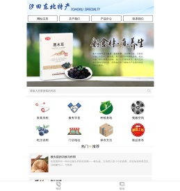 汐田东北特产
