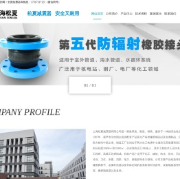 橡胶挠性接头