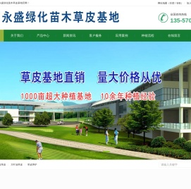 广西永盛绿化苗木草皮基地广西草皮