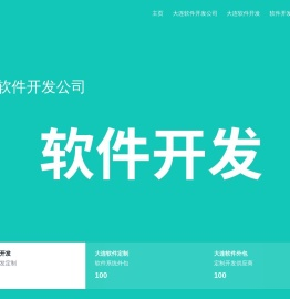 大连软件外包公司