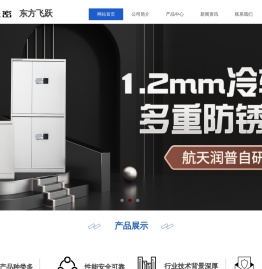 东方飞跃