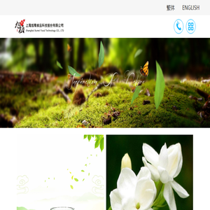上海网站建设