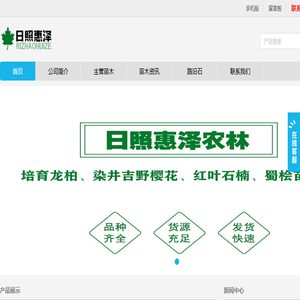 小龙柏,龙柏苗,龙柏床苗,嫁接小龙柏,龙柏树,龙柏球,龙柏工程苗