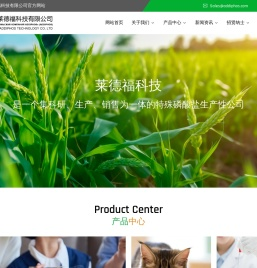 复合磷酸盐生产厂家