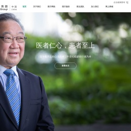 莱佛士医疗集团