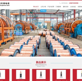 东莞市中业电缆有限公司
