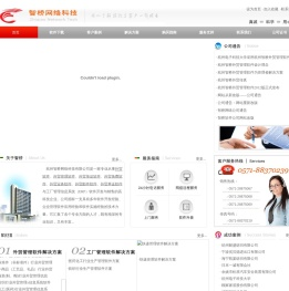 杭州智桥软件