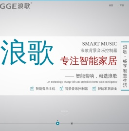 浪歌电子科技