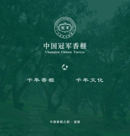 中国冠军香榧