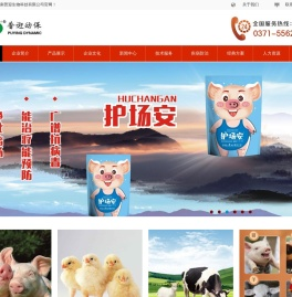 普迎动保