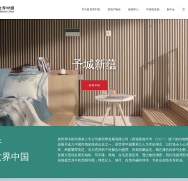 新世界中国