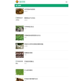 准农网