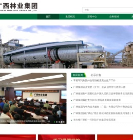 广西林业集团有限公司