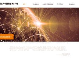 上海浦东智产科技服务中心