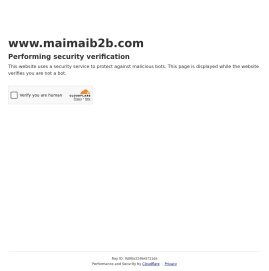 MaiMaiB2B