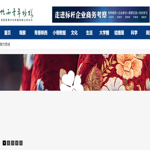 陕西青年网