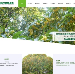 邻水县东源桂花苗木种植基地