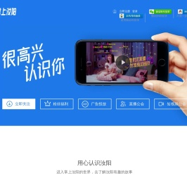 大汝网