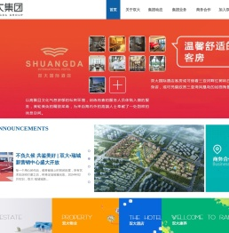 海南双大集团