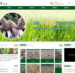 四川菌之味农业开发有限公司,四川菌之味培训羊肚菌种植技术,学习羊肚菌人工种植技术