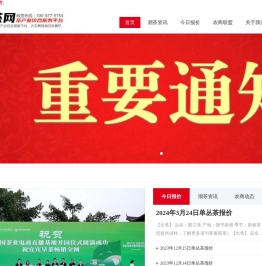潮茶网