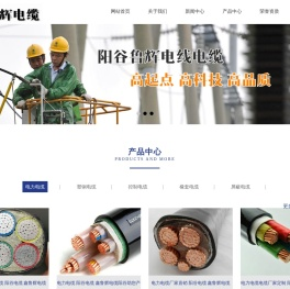 阳谷电缆公司,阳谷电缆厂,阳谷电缆,山东阳谷电缆,阳谷鲁辉电线电缆