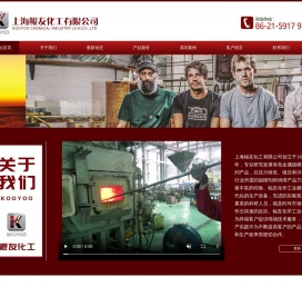 上海鲲友化工有限公司
