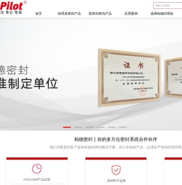 sealpilot柏德密封行业的领航者