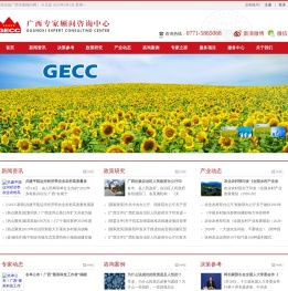 广西咨询顾问