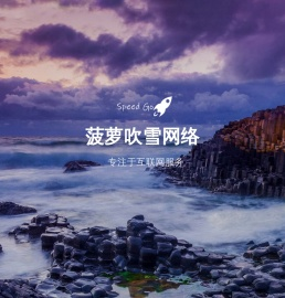 菠萝吹雪网络