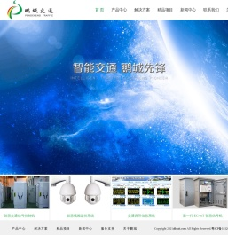 深圳市鹏城交通网络股份有限公司