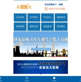 安徽卧龙泵阀股份有限公司