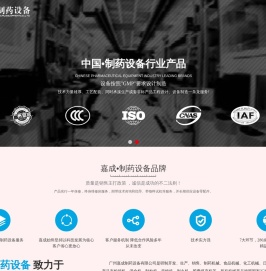 中药制丸机