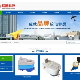 山东辰智电子科技有限公司