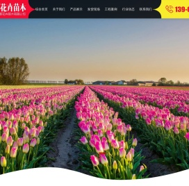 青州市美都花卉苗木有限公司