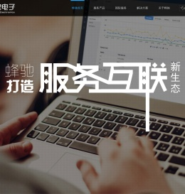 深圳蜂驰电子科技有限公司
