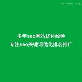 SEO网站优化公司