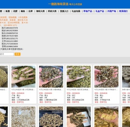 货源底价