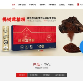 桦树茸厂家