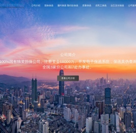 投标保函