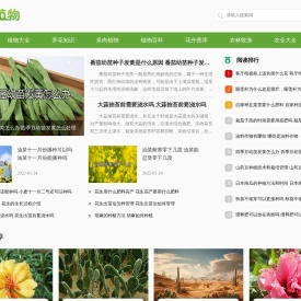 说植物
