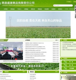 盛源果品,陇县盛源果品有限责任公司,盛源果品苹果,盛源果品核桃,盛源果品文玩核桃
