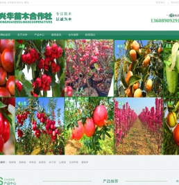 新优桃树苗