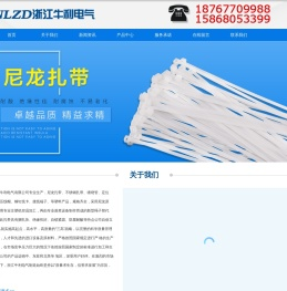 尼龙扎带