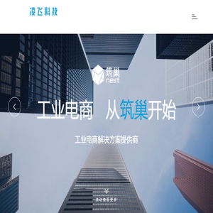 洛阳凌飞科技